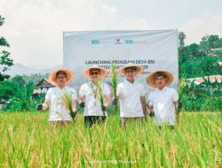 BSI Maslahat launching Desa BSI Klaster Pertanian Padi di Desa Purwabakti