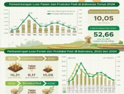 Isu-isu Strategis Pangan Nasional beserta Solusinya.
