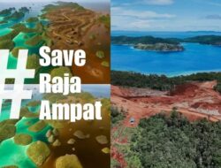 Respon Pernyataan Menteri LH Soal PT Gag Nikel, Greenpress : Pemerintah Tak Boleh Jadi Juru Bicara Korporasi