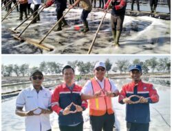Panen Raya Perdana: PT Garam Terapkan Tekhnologi Untuk Swasembada Garam Dukung ASTA CITA Presiden RI
