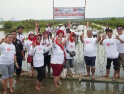 HUT RI ke-80: PKN Bikin Pesisir Banten Makin Hijau, Climate Change Minggir Dulu!