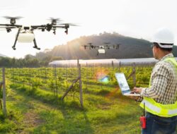 Hari Tani Nasional: Kedaulatan Pangan Adalah Kunci Kebangkitan Nusantara