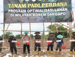 Staf Ahli Bupati Banyuasin Dan Dandim O430/BA Tanam Padi Perdana, Optimalkan Ketahanan Pangan