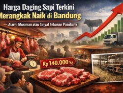Harga Daging Sapi Terkini Merangkak Naik di Bandung — Alarm Musiman atau Sinyal Tekanan Pasokan?