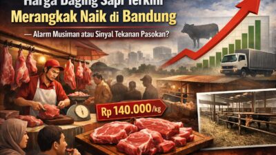 Harga Daging Sapi Terkini Merangkak Naik di Bandung — Alarm Musiman atau Sinyal Tekanan Pasokan?