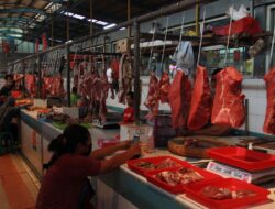 Menata Ulang Ekosistem Daging Sapi: Dari Forum Diskusi ke Kebijakan Nyata