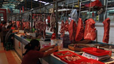 Menata Ulang Ekosistem Daging Sapi: Dari Forum Diskusi ke Kebijakan Nyata