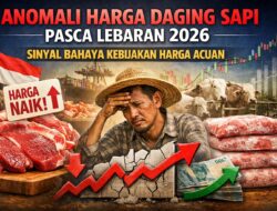 Anomali Harga Daging Sapi Pasca Lebaran 2026: Sinyal Bahaya Kebijakan Harga Acuan