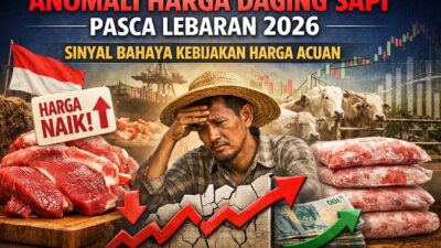 Anomali Harga Daging Sapi Pasca Lebaran 2026: Sinyal Bahaya Kebijakan Harga Acuan