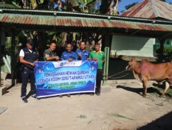 Sarulla Operations Ltd Serahkan 5 Sapi Kurban di Tapanuli Utara