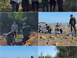 Perkuat Pelestarian Lingkungan Pesisir, KSOP Kelas IV Kalianget Dukung Penanaman 5000 Mangrove Dan 40 Malapari, Begini Jelasnya