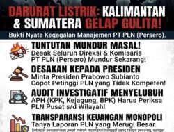 Listrik Bergilir di Kalimantan dan Sumatra Tuai Protes, Borneo Muda Desak Presiden Copot Direksi PLN