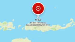 Gempa Susulan Terus Guncang NTT, 5.688 Gempa Tercatat dan 150.576 Warga Mengungsi