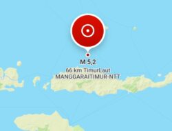 Gempa Susulan Terus Guncang NTT, 5.688 Gempa Tercatat dan 150.576 Warga Mengungsi