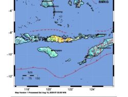 BREAKING UPDATE: BMKG Cabut Peringatan Dini Tsunami Pascagempa M 7,7 Flores, Puluhan Gempa Susulan Masih Terjadi