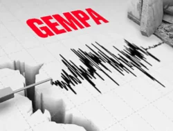 BREAKING NEWS: Gempa M 7,7 Guncang Flores, BMKG Keluarkan Peringatan Dini Tsunami