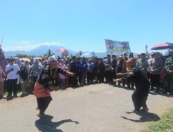Pacu Jawi Ditutup Meriah, Sawah Berlumpur Berubah Jadi Panggung Budaya Minangkabau