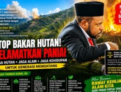 Politisi PKN Thomas Gobai Serukan Penghentian Pembakaran Hutan dan Lahan di Paniai