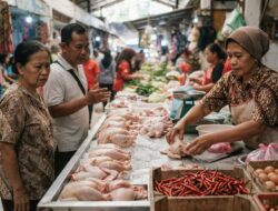 Harga Daging Ayam Naik, Jadi Penyumbang Utama Inflasi Agustus 2026