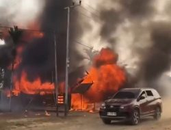 Karhutla Makin Mengkhawatirkan, Api Dekati Permukiman Warga di Kalteng