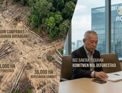 Greenpeace Bongkar Dugaan Kejahatan Bisnis Sukanto Tanoto, Modus Perusahaan Bayangan?
