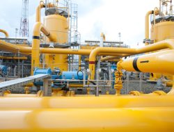 PGN Siap Integrasikan Biomethane ke Infrastruktur Gas